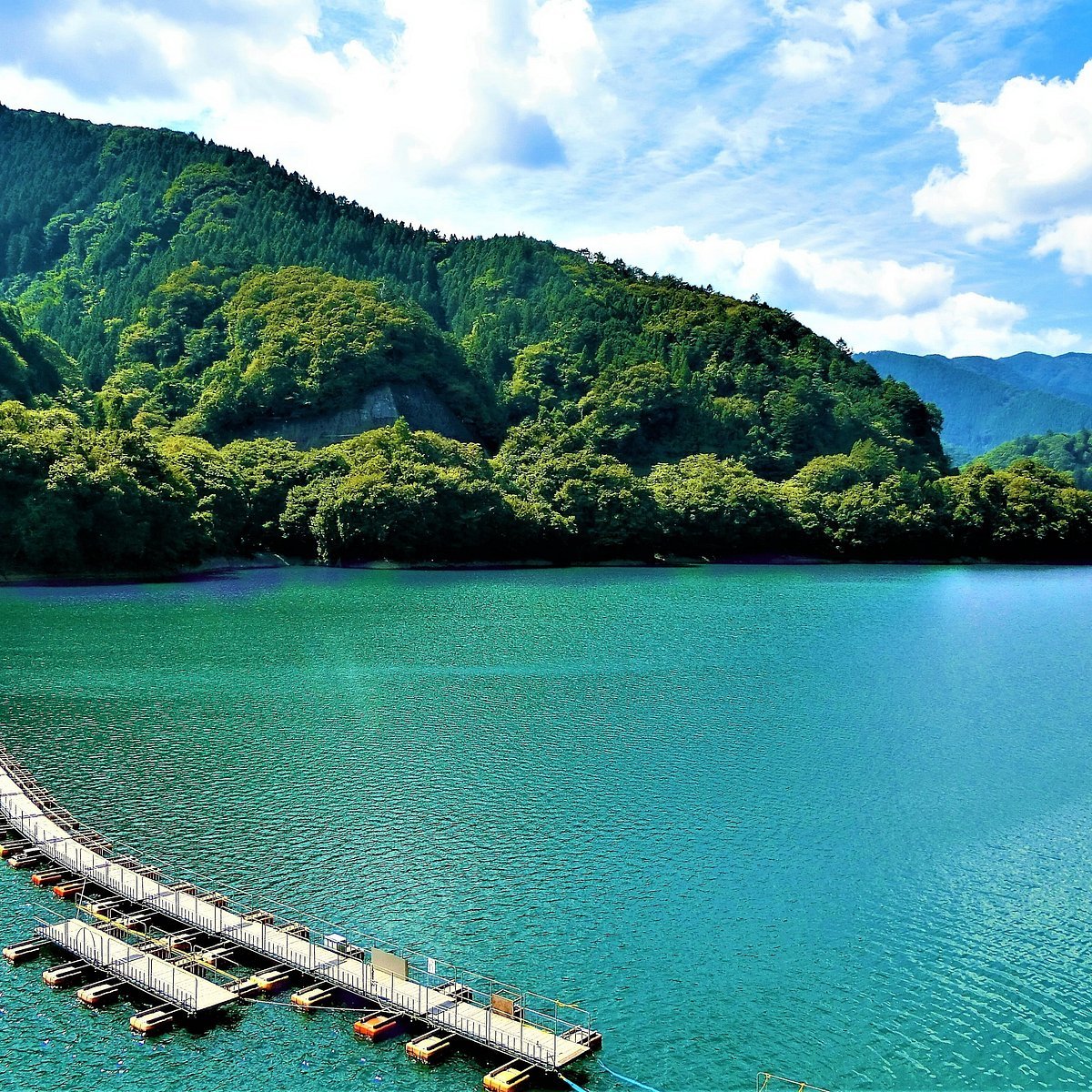 🎣 오쿠타마 낚시 센터(오쿠타마 피싱 센터) 이미지 8